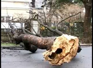 Vichřice Emma v Evropě