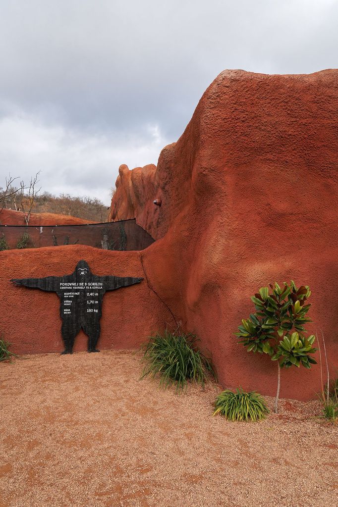 Zoo Praha, nový pavilon goril (Rezervace DJA, gorily a střední Afrika)