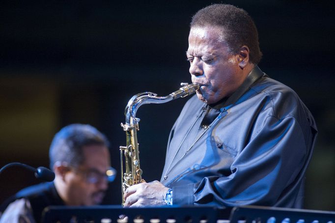 Wayne Shorter Quartet roku 2013 na Strunách podzimu.