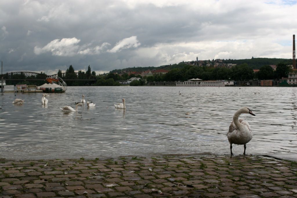 Zavřená náplavka