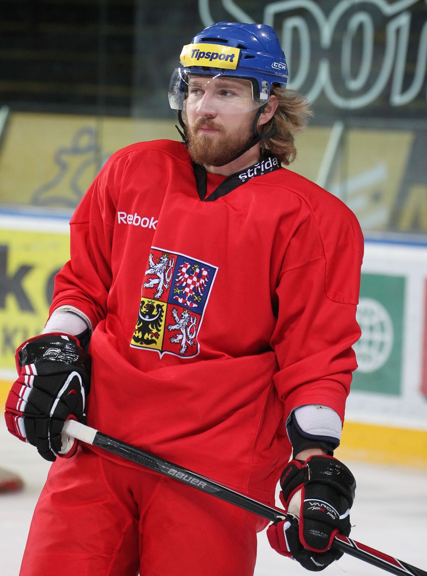 Česká hokejová reprezentace (Karjala Cup 2013)