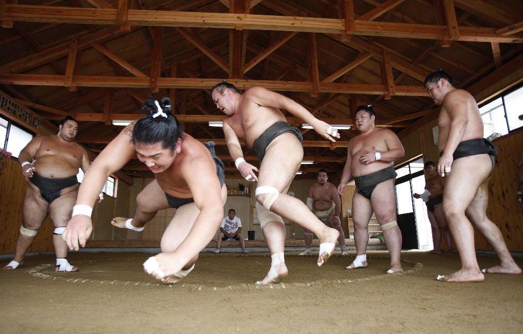 Japonští sumo na "letním táboře"
