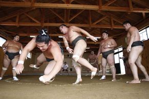 Vítejte na letním táboře těžkých vah, na táboře zápasníků sumo