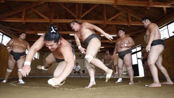 Vítejte na letním táboře těžkých vah, na táboře zápasníků sumo