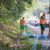 Stavba elektrických ohradníků ve Zlínském kraji kvůli africkému moru divokých prasat.