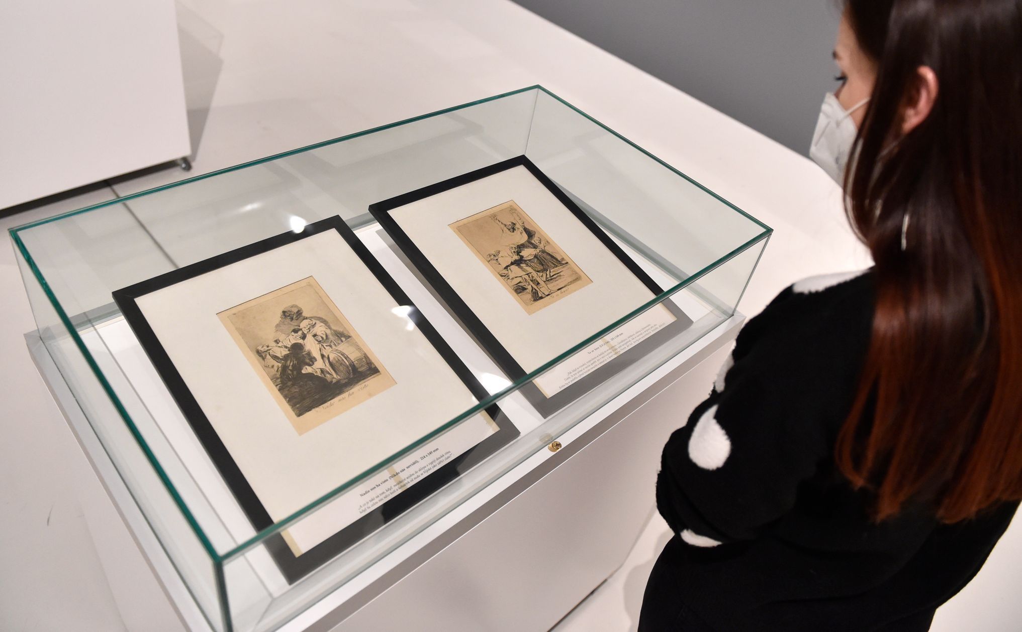 Francisco Goya: Caprichos (Rozmary)