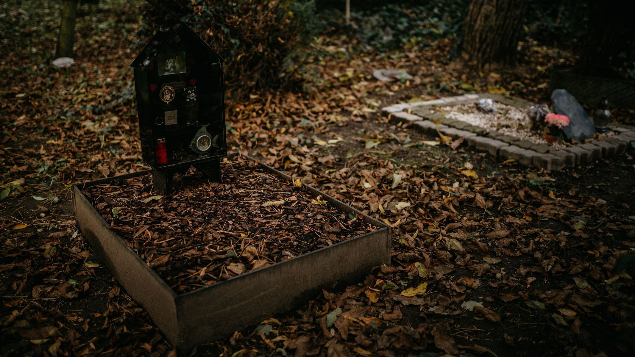 hřbitov Bohnice hřbitov bláznů