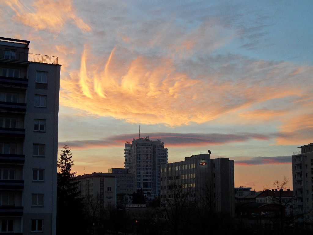 Dokumentujeme.cz - Tropy