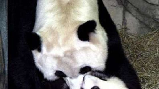 Čtvrtek ve světě pohledem objektivu