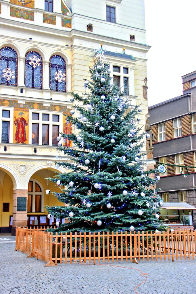 Vánoční strom v Náchodě.