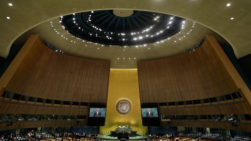 Sál OSN v New Yorku při projevu českého premiéra Andreje Babiše