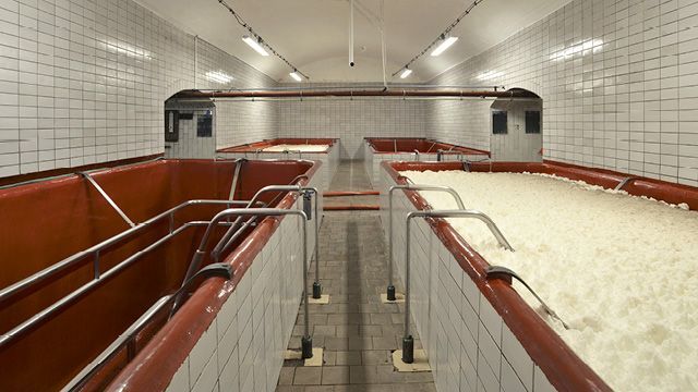 Lobkovicz_polozkyGalerie