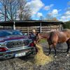 Dodge RAM 1500 Longhorn 2024