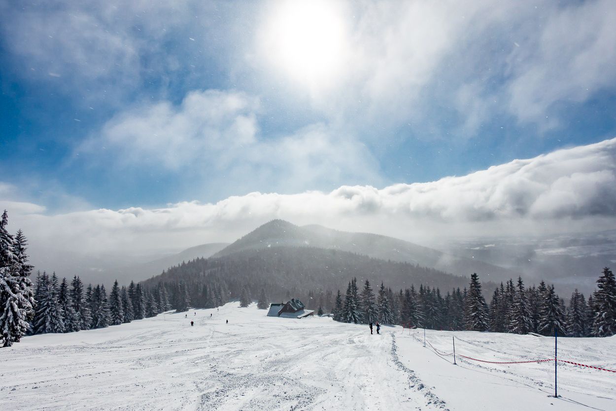 Krkonošská bouda Dvoračky, Dvoračky, horský chata Dvoračky, Krkonoše, Domácí