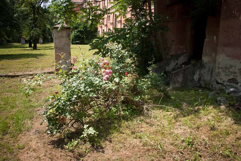 Fotogalerie: Obrazem o pražské Invalidovně / Dap