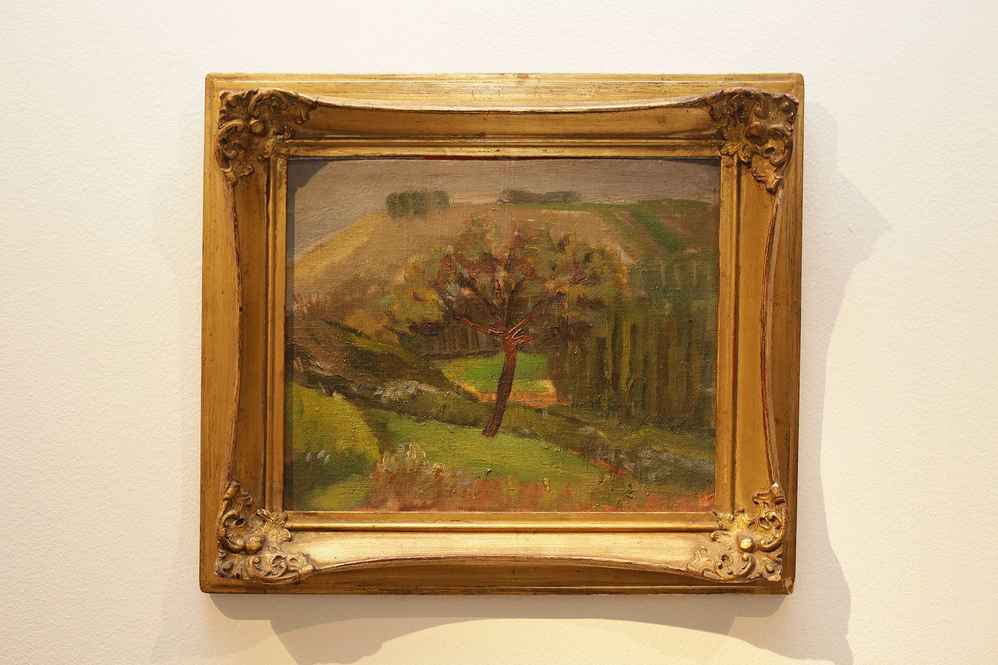 Zdeněk Sýkora – Moje příroda