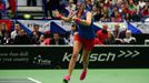 Fed Cup, ČR-Francie: Petra Kvitová