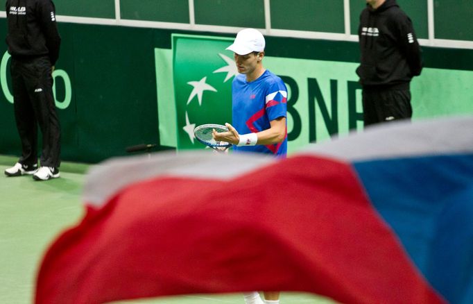 DC, Česko - Nizozemsko: Tomáš Berdych