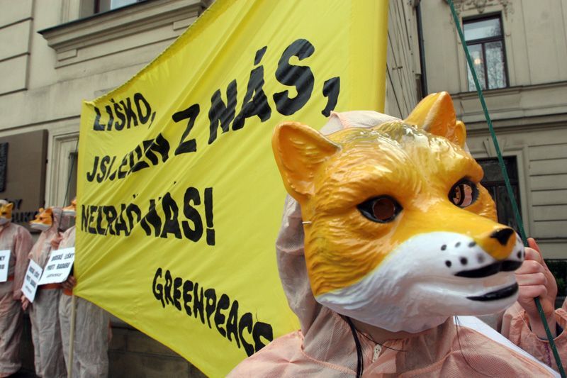 Lišky u úřadu vlády