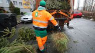 Pražské služby pravidelně v tuto část roku vyčleňují na odvoz několik popelářských vozů, které nedělají nic jiného, než že odváží stromky od popelnic.