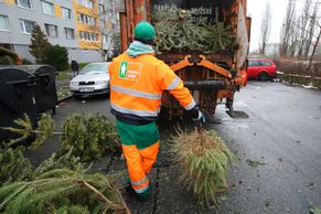 Foto: Symboly Vánoc u popelnic. Popeláři čistí město od stromků, bude z nich štěpka