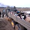 Izrael, Gaza, Hamas, rukojmí, 7. říjen, útok výročí