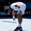 Australian Open: Janko Tipsarevič