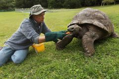Sameček Jonathan se stal nejstarší želvou v historii. Letos oslaví 190. narozeniny