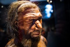 Geny po neandertálcích mohou být při koronaviru rizikovým faktorem, tvrdí studie