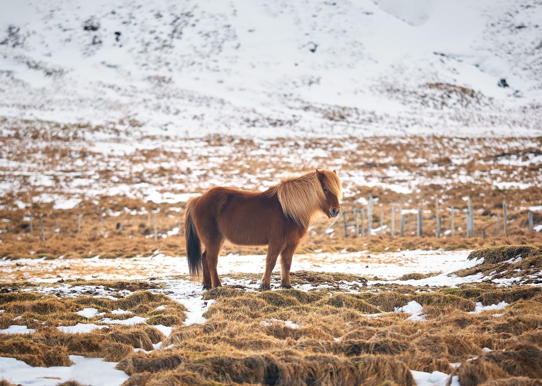 FOTO: Krásy Islandu objektivem fotografa Marka Ondráčka, Dvě tváře Islandu: Fotograf Ondráček o boji s živly a polární září, Magazín, fotogalerie