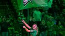 NHL, Ice Girls (Dallas Stars)