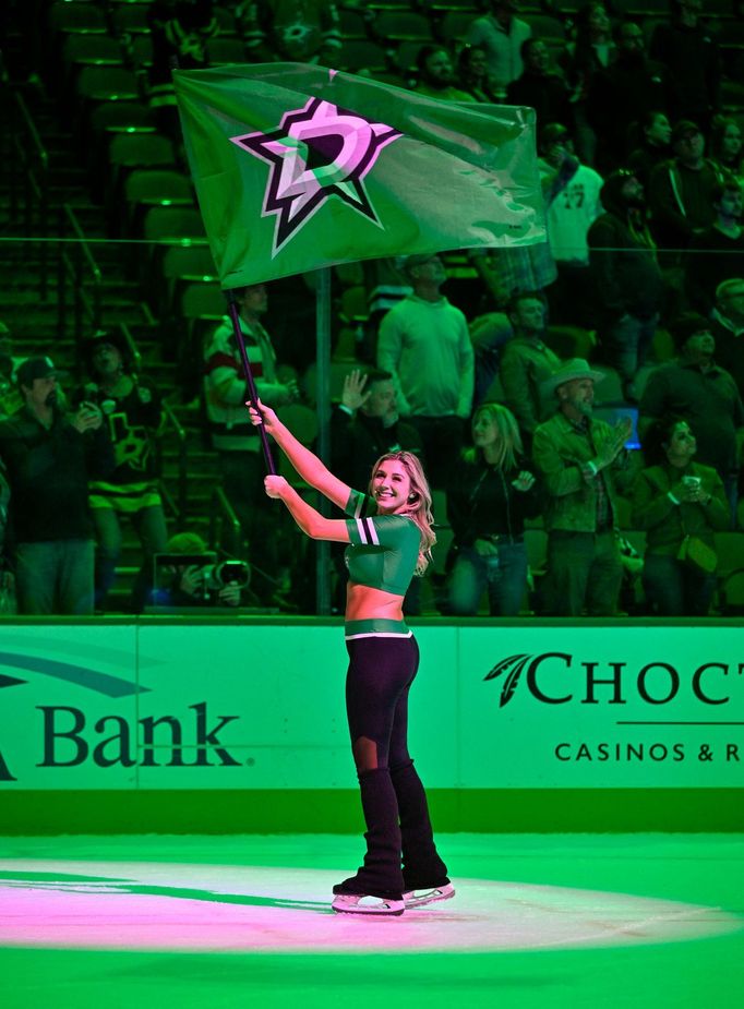 NHL, Ice Girls (Dallas Stars)