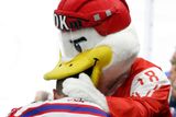 Maskot letošního mistrovství světa se jmenuje Duckly. Jméno vzešlo z hlasování fanoušků a postavička je inspirována pohádkou Ošklivé káčátko známého dánského spisovatele Hanse Christiana Andersena.