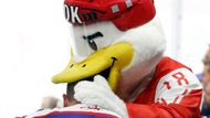 Maskot letošního mistrovství světa se jmenuje Duckly. Jméno vzešlo z hlasování fanoušků a postavička je inspirována pohádkou Ošklivé káčátko známého dánského spisovatele Hanse Christiana Andersena.