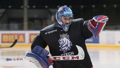 hokej, reprezentace před Karjala Cupem 2018, Patrik Bartošák