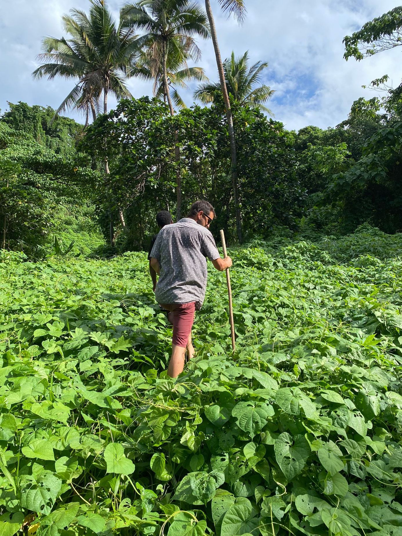 Eva Schrollová a její dobrodružství