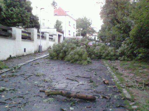 Silná bouře lámala v Praze stromy. Pohled do jedné z ulic v pražských Modřanech.