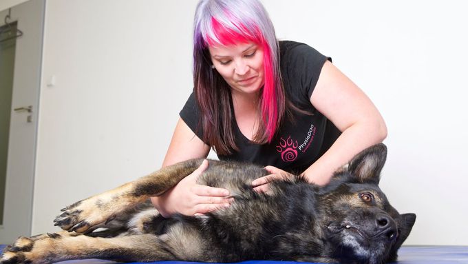 Kateřina Plačková se psí fyzioterapii věnuje deset let.