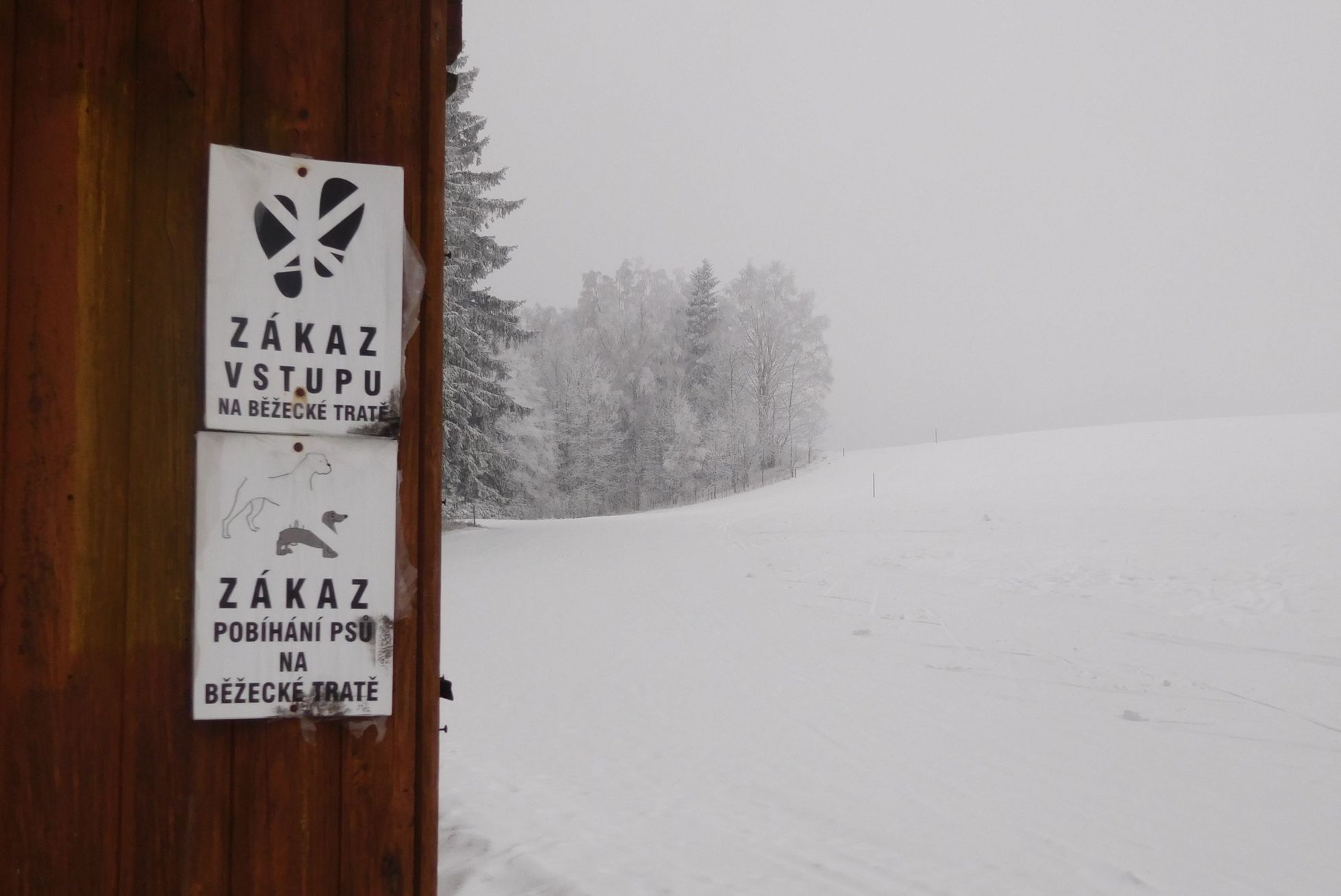 Bílé Vánoce - 24. 12. 2016, Deštné v Orlických horách