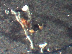V originálním oleji z továrny se při rozboru našly částice železa a mědi. Snímek z mikroskopu, 50x zvětšení.