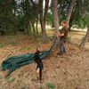 Bushcrafting, zálesáctví, pobyt v přírodě, les, bushcraft, Tomáš Krákora, kurz přežití