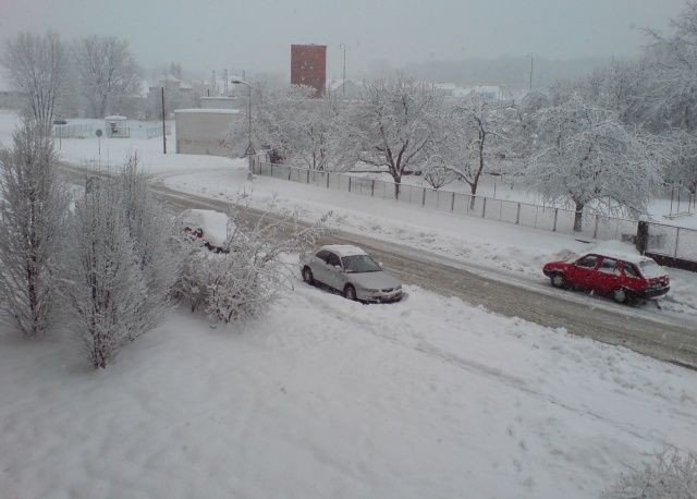 Sníh - Týniště nad Orlicí