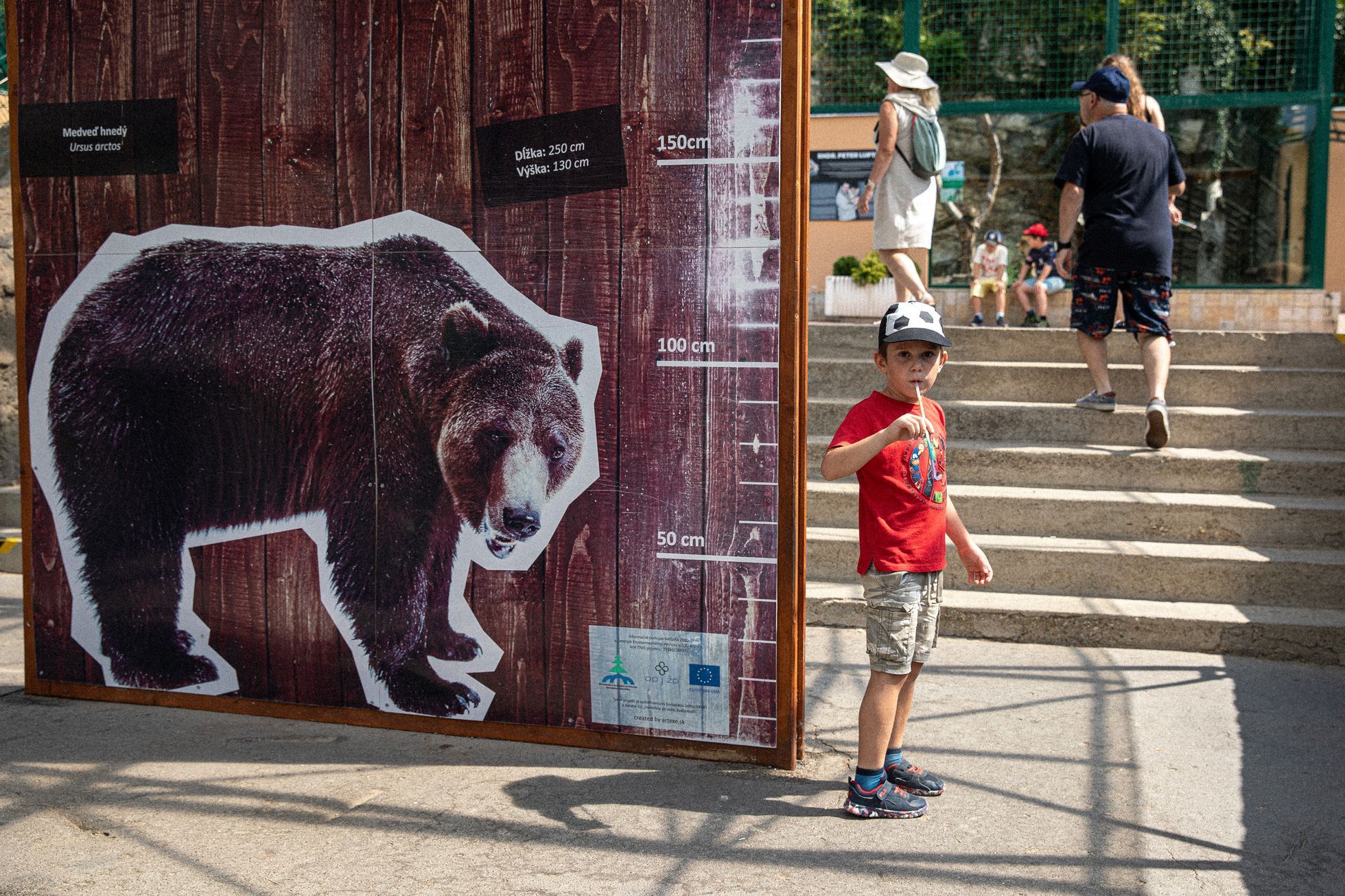 Slovensko a medvědi - zoo Bojnice a Mosty u Jablunkova