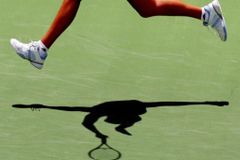 Slováci začínají Davis Cup v Chile
