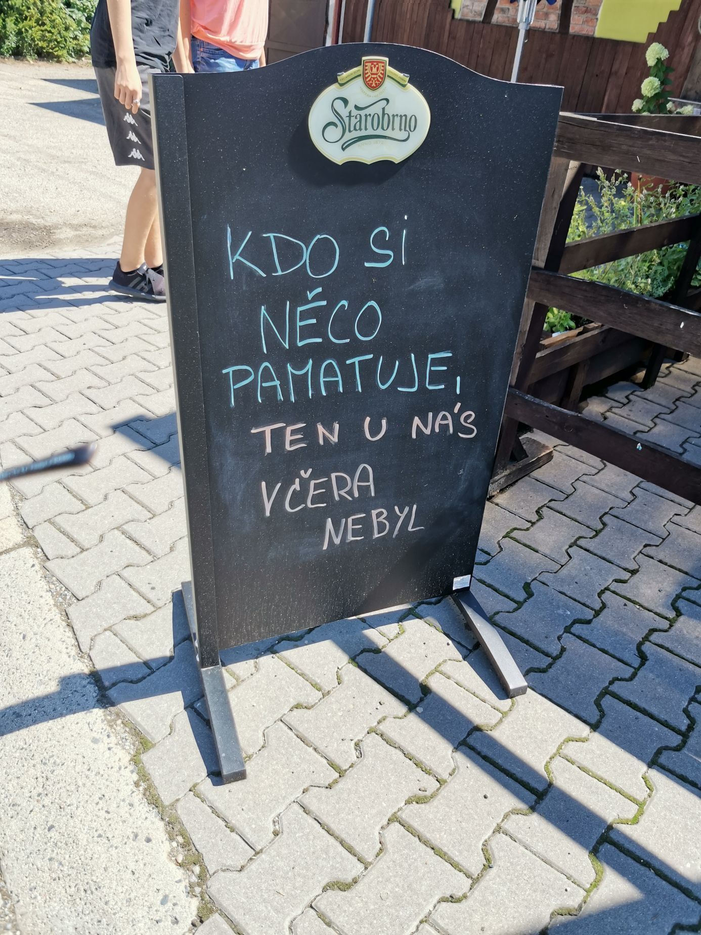 cedule 2021