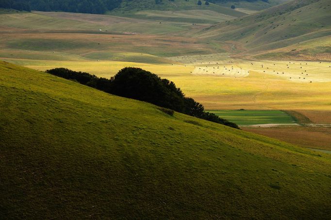 Rozkvetlé louky v okolí Castelluccia di Norcia, Itálie