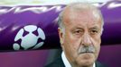 Vicente del Bosque