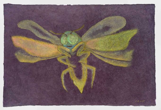 Erika Bornová, Z cyklu Hmyz.