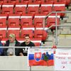 fotbal, kvalifikace ME 2020, Slovensko - Wales, fanoušci Slovenska