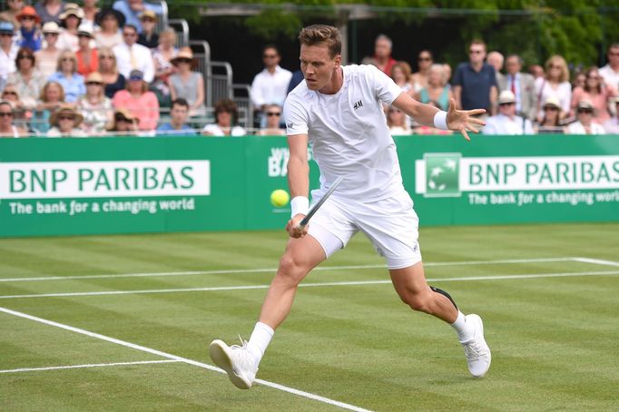 Tomáš Berdych před Wimbledonem 2015